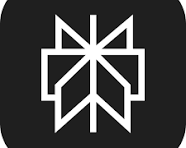 Perplexity AI logo